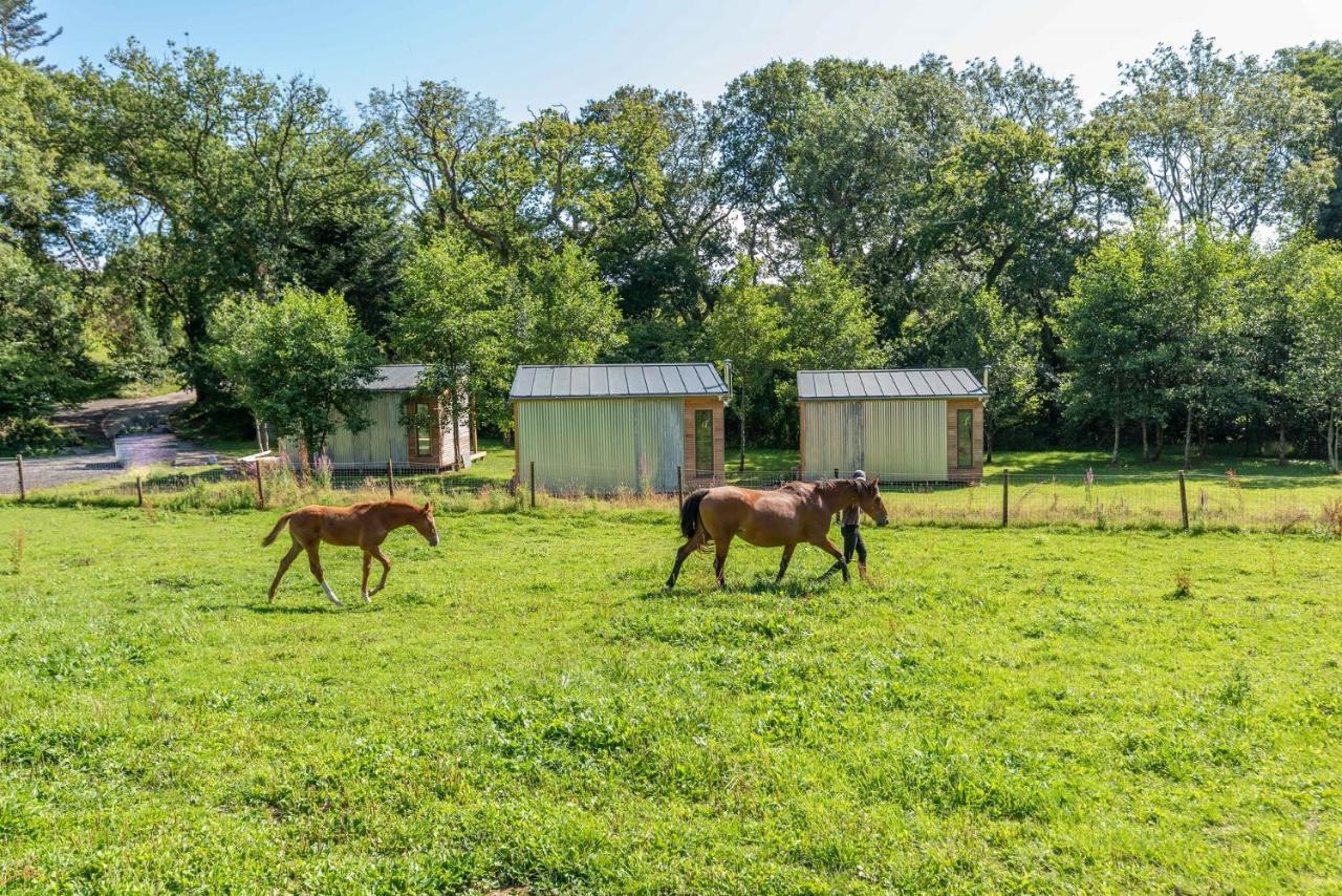 Sunset Cabins - Studio Pod-Sleeps 3-Tjsssc Barnstaple Zewnętrze zdjęcie